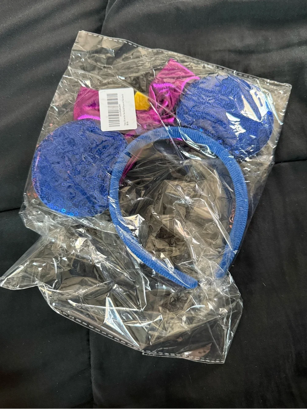 Anna Mickey Ears